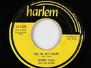 Doo-Wop 45 - Bobby Hall & the Kings - Fire In My Heart - Harlem - mp3 - rare