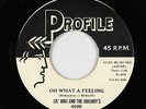 Doo-Wop 45 - Lil' June & the January's - Oh What A Feeling - Profile - mp3