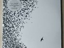 Wilco sealed new vinyl 2LP Sky Blue Sky. Jeff Tweedy Nels Cline Uncle Tupelo