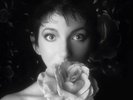 Kate Bush - Remastered in Vinyl II - Running Up That Hill - Brand New & Sealed.