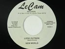 Psych Funk 45 - New World - Look Outside - Le Cam - VG+ mp3 - obscure