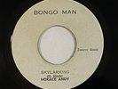 Horace Andy 