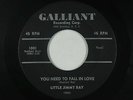 R&B Soul Popcorn 45 - Little Jimmy Ray - You Need To Fall In Love - Galliant mp3