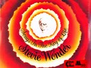 Stevie Wonder: Stevie Wonder Songs In The Key Of Life Vinyl: Vinyl