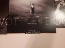 Townes Van Zandt : Documentary, sehr rare Vinyl LP von 1997