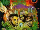 JUNGLE BROTHERS - Done By The Forces of Nature - 2LP - Vinyl