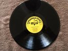 Muddy Waters The 'Vintage' Sunnyland white album including two live recordings