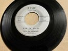 Vic & Versatiles 1965 NOVELTY POPCORN DOOWOP 45 Berlin Wall  Hi-De-Ho DANDY HEAR