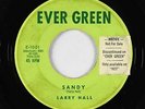 Teen Rocker 45 - Larry Hall - Sandy/Lovin' Tree - Ever Green - mp3 - 1st label