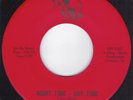 THE REASONS WHY All I Really Need Is Love 45 Back From The Grave Garage Fuzz