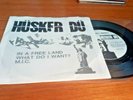 Hüsker Dü – In A Free Land Vinyl, 7