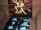 Van Halen LP Balance