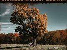 Charles Wesley Godwin How The Mighty Fall VINYL LP NEU