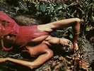 Roxy Music - Stranded (Half Speed Master) (NEW VINYL LP)