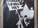 RAMONES 'Swallow My Pride' 7
