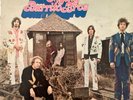 The Flying Burrito Bros. Gilded Palace of Sin, feat.Gram Parsons vinyl lp