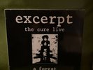 THE CURE EXCERPT LIVE 12