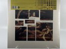 Merzbow / Genesis Breyer P-Orridge - A Perfect Pain Vinyl LP Gold Color Variant