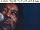 GUY, BUDDY / DAMN RIGHT I'VE GOT THE BLUES (1LP COLOURED) NEW VINYL