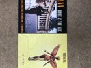 In Utero by Nirvana + rome as you are + nirvana tote bag (opened never played)