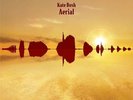 Kate Bush - Aerial 180g Vinyl 2LP (2018 remaster)