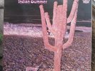 INDIAN SUMMER   UK RCA Neon 1971 Original Prog Rock original EX/NM