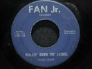 Vilas Craig - Walkin' down The Avenue 1962 Fan Jr. 45rpm Rock & Roll - G Sound