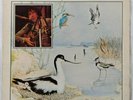 Bert Jansch - Avocet (vinyl lp, Charisma, 1979)
