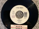 OASIS Wonderwall Syria Sei Bellissima 45 7
