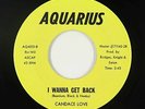 Sweet Soul 45 - Candace Love - I Wanna Get Back - Aquarius - VG+ mp3