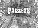 `Paisleys, The` Cosmic Mind At Play VINYL LP NEUF