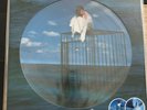 double 33t vinyl LP mylene farmer picture disc Innamoramento sous blister neuf