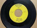 Kimball Coburn 1960 DOO WOP ROCKABILLY TEEN 45 What A Day COVER VG++ HEAR