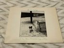 B.J. Cole The New Hovering Dog (Vinyl LP, 1972 United Artists) OG Pressing