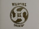 Wildfire SMOKIN' Limited Edition 500 Only USA 1996 OR Records RARE LP