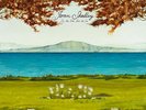 Joan Shelley : Like the River Loves the Sea (12