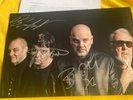 The Stranglers - Signed - Picture sex pistols  punk Rare coa 