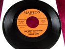 TAMALA LEWIS - YOU WON'T SAY NOTHING - 7'' EX+/45-1002/