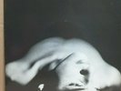 Persons Unknown:Addiction 7