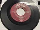Sequins DOOWOP 45 Why Can't You Treat Me Right Don't Fall In Love RED ROBIN HEAR