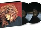 Janet Jackson The Velvet Rope 2LP Hip Hop Soul Vinyl