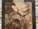 Ltd Cult of Luna 2lp, Jesu, Khoma, The Ocean, Gojira, Kylesa, Isis, Amenra