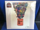 RECORD STORE DAY NOEL GALLAGHER'S HIGH FLYING BIRDS MAGIC SECRETS 2022 7