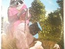J.J. Cale – Naturally VG+ 1971 Shelter David Briggs/Mac Gayden/Weldon Myrick USA