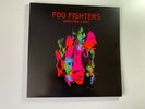 Foo Fighters Wasting Light Vinyl Album