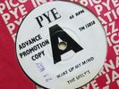 THE UGLY'S Wake Up My Mind / Ugly Blues UK 7