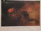 Cocteau Twins - Victorialand [12