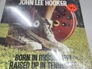 john lee hooker born in Mississippi raised up in tennessee, vinyl