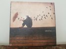Radical Face GHOST (MM069LP) 2014