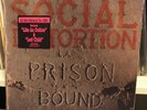 Social Distortion 